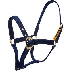 ECLIPSE PADDED RELEASE HEADCOLLAR